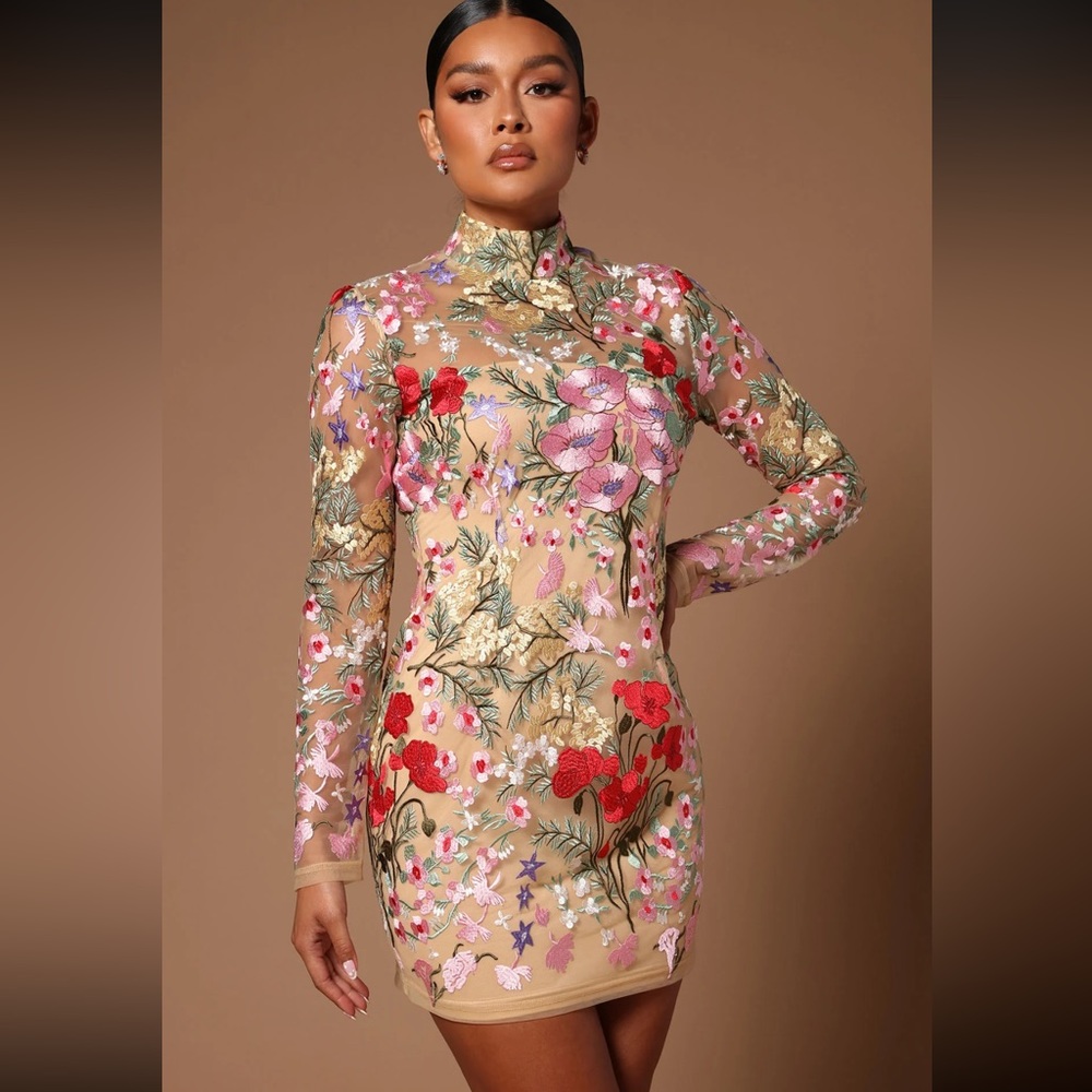 Fashion Nova Embroidered Sheer Dress